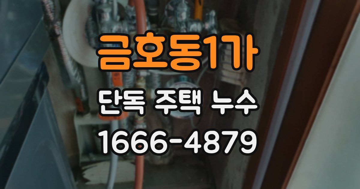 금호동1가 단독 주택 누수