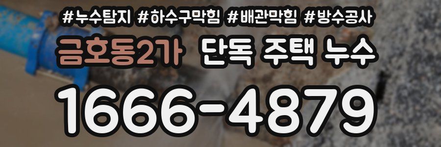 금호동2가 단독 주택 누수