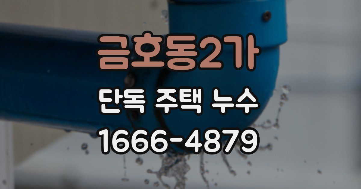 금호동2가 단독 주택 누수