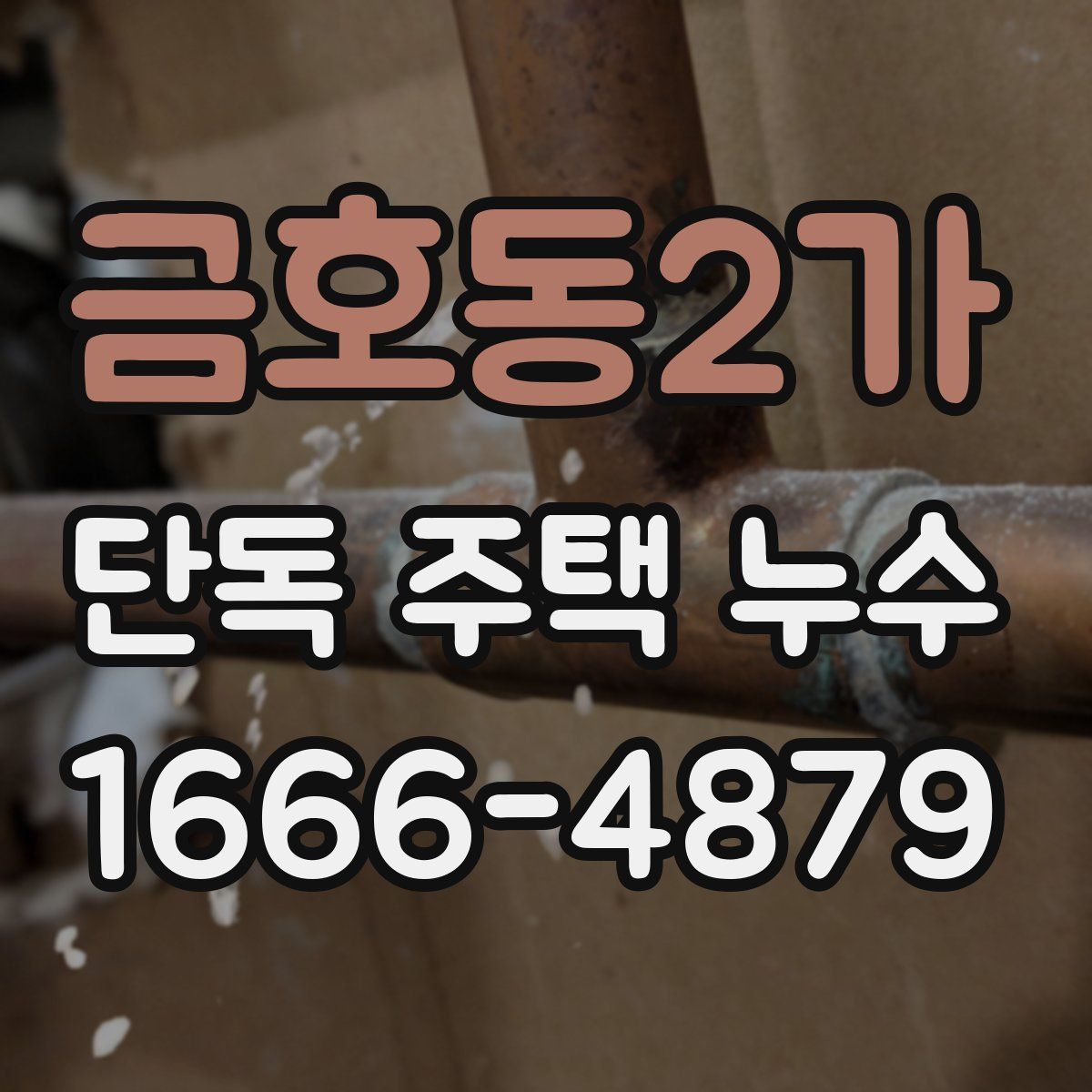 금호동2가 단독 주택 누수