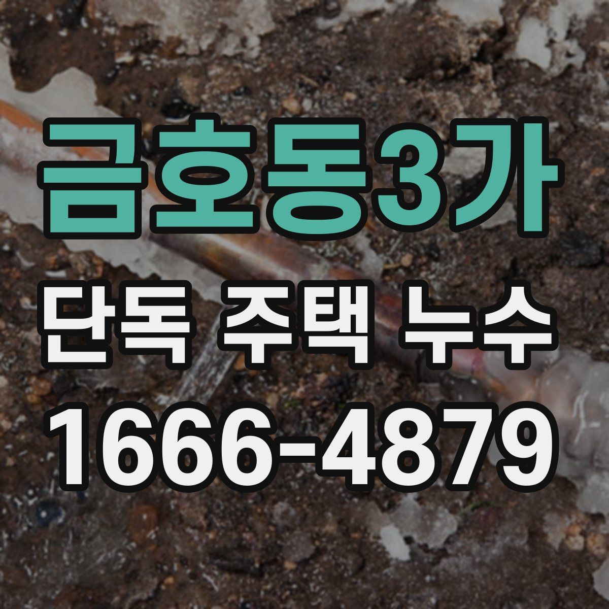 금호동3가 단독 주택 누수