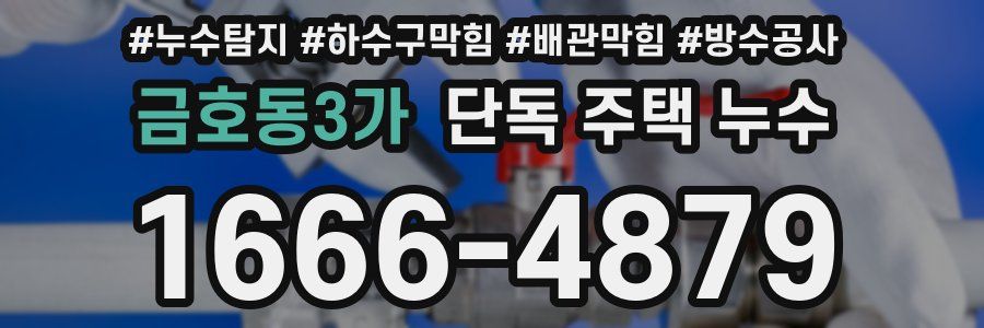금호동3가 단독 주택 누수