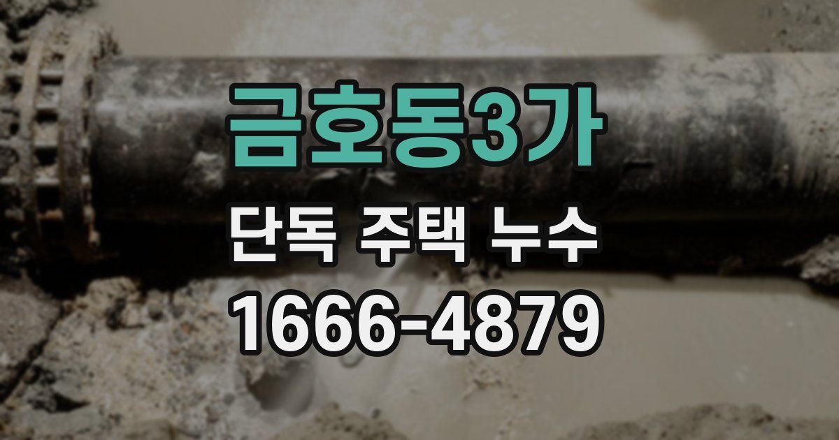 금호동3가 단독 주택 누수