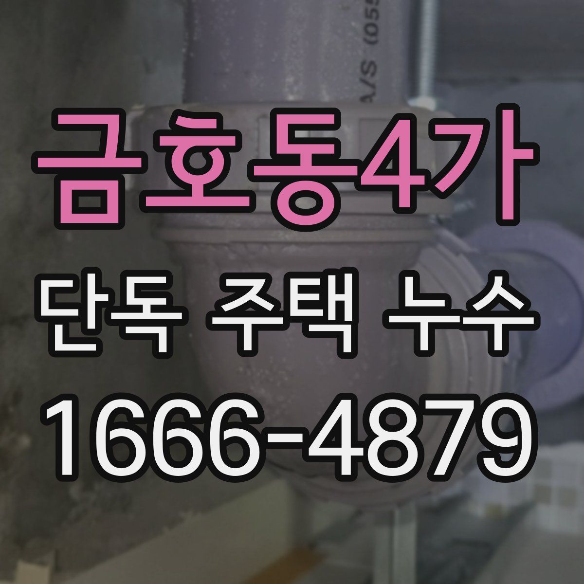 금호동4가 단독 주택 누수