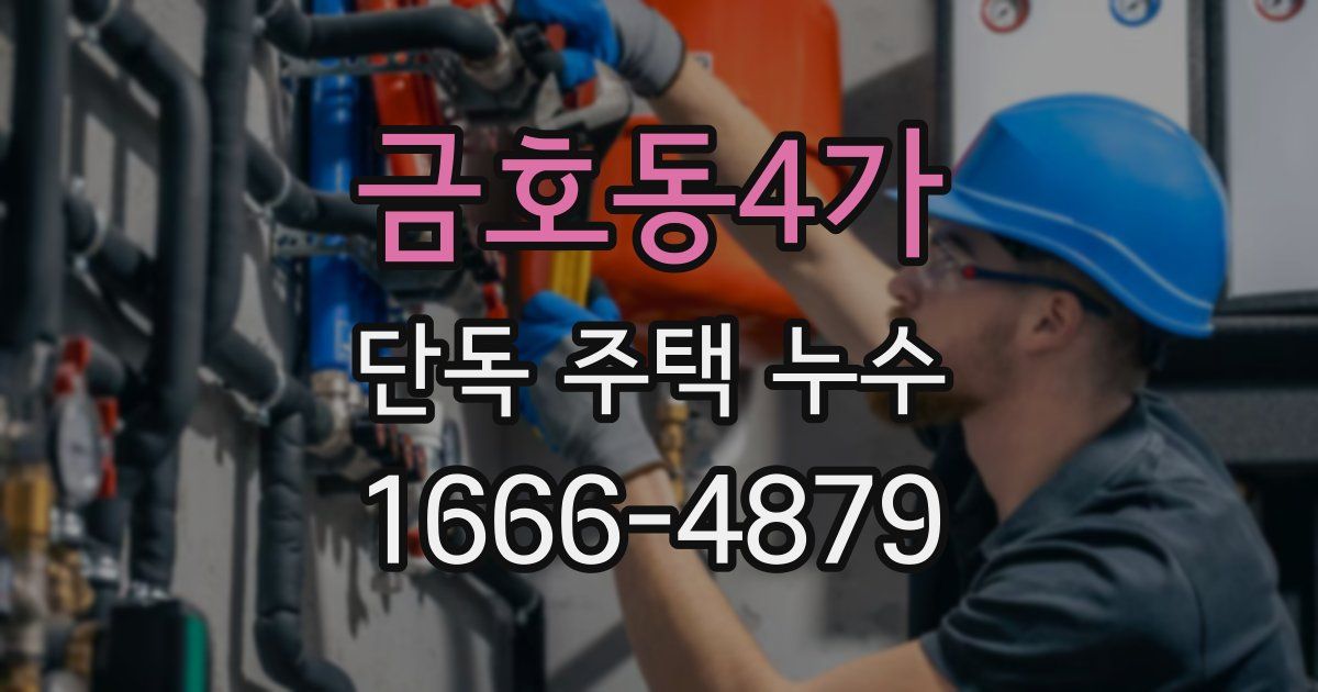 금호동4가 단독 주택 누수