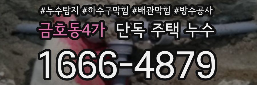 금호동4가 단독 주택 누수