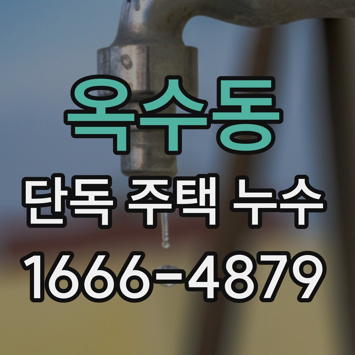 옥수동 단독 주택 누수