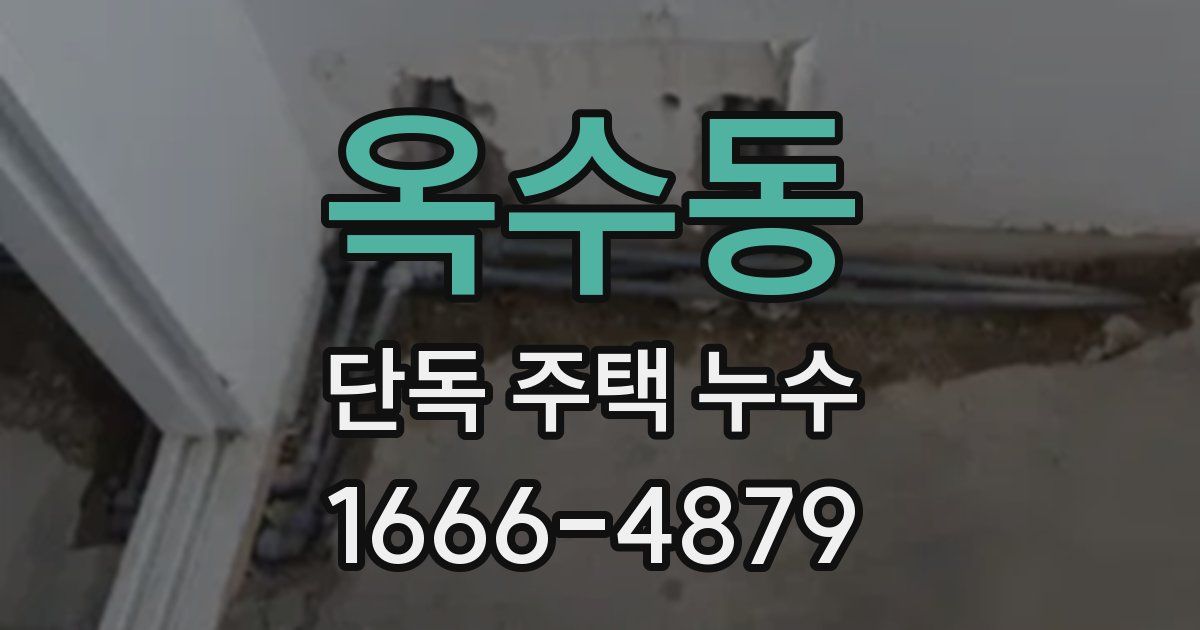 옥수동 단독 주택 누수