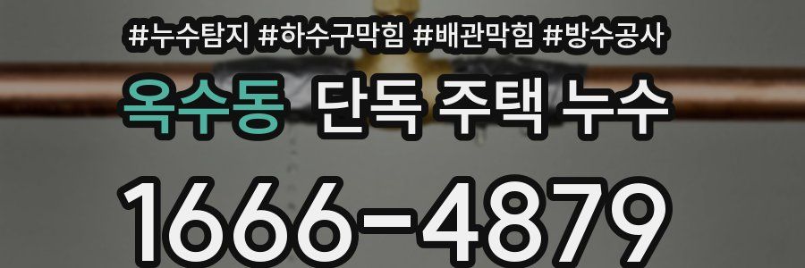 옥수동 단독 주택 누수