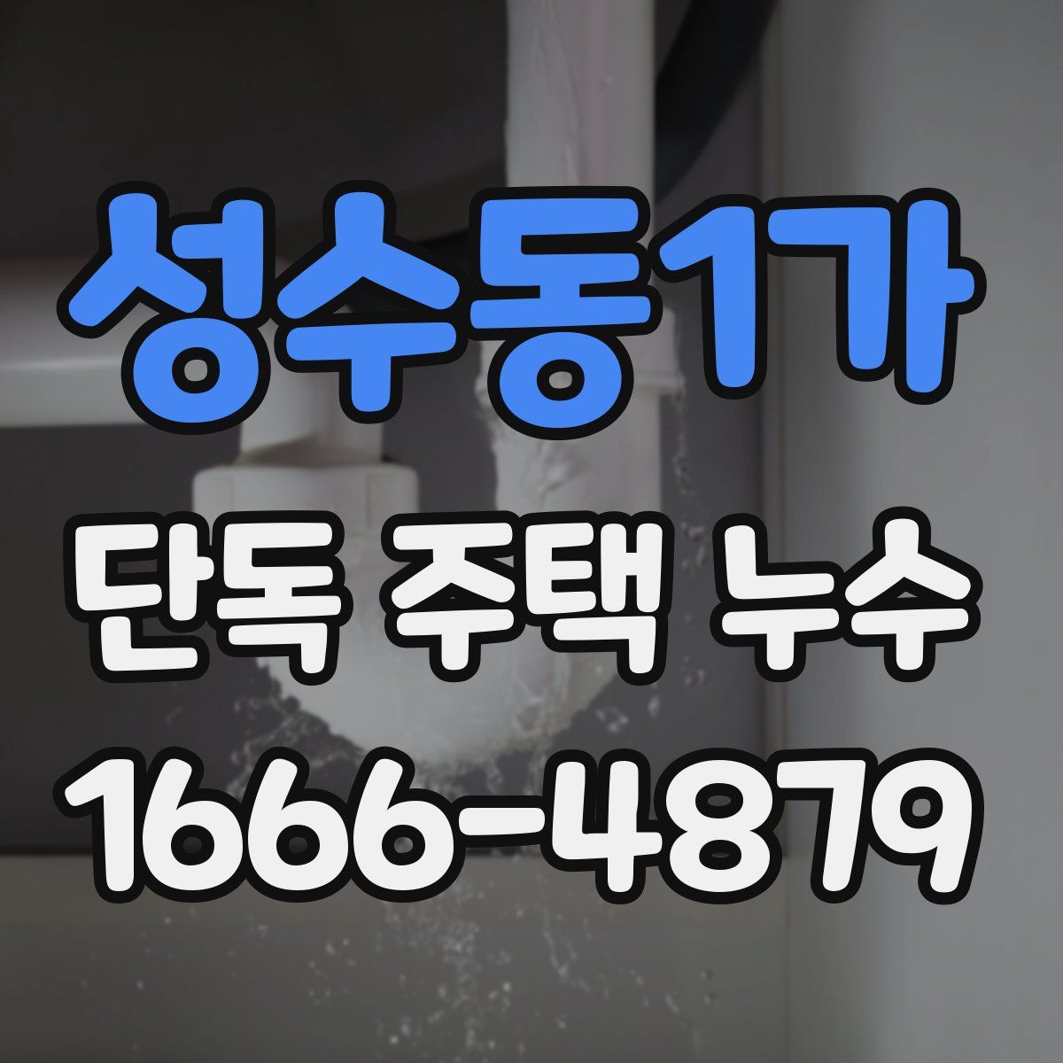 성수동1가 단독 주택 누수