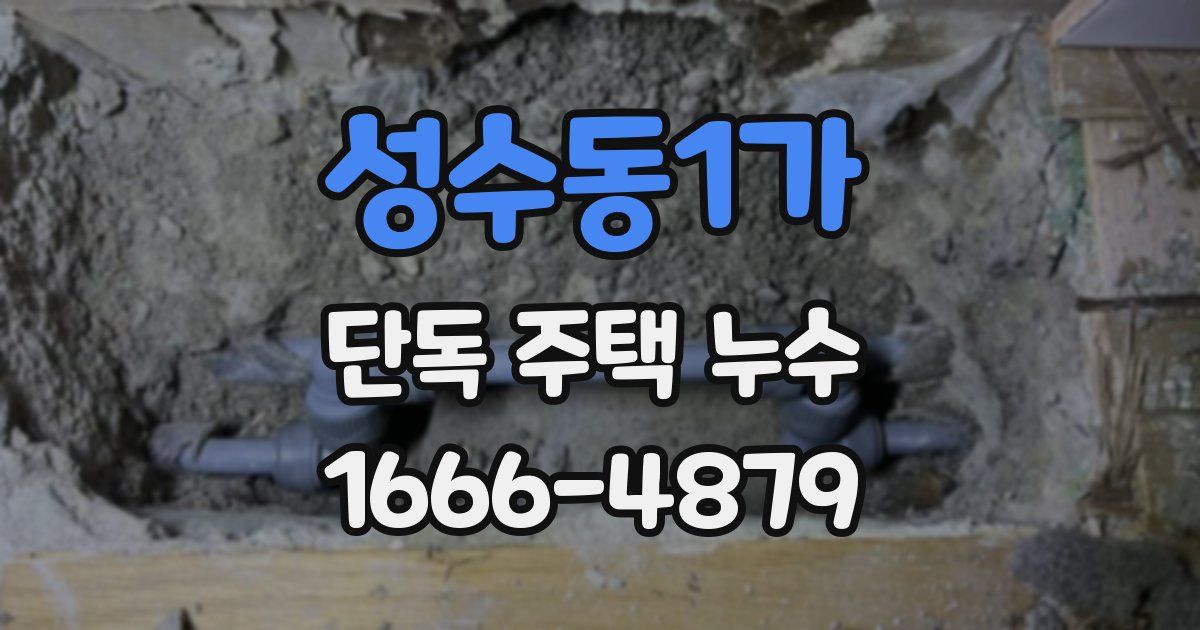 성수동1가 단독 주택 누수