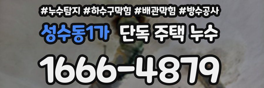 성수동1가 단독 주택 누수