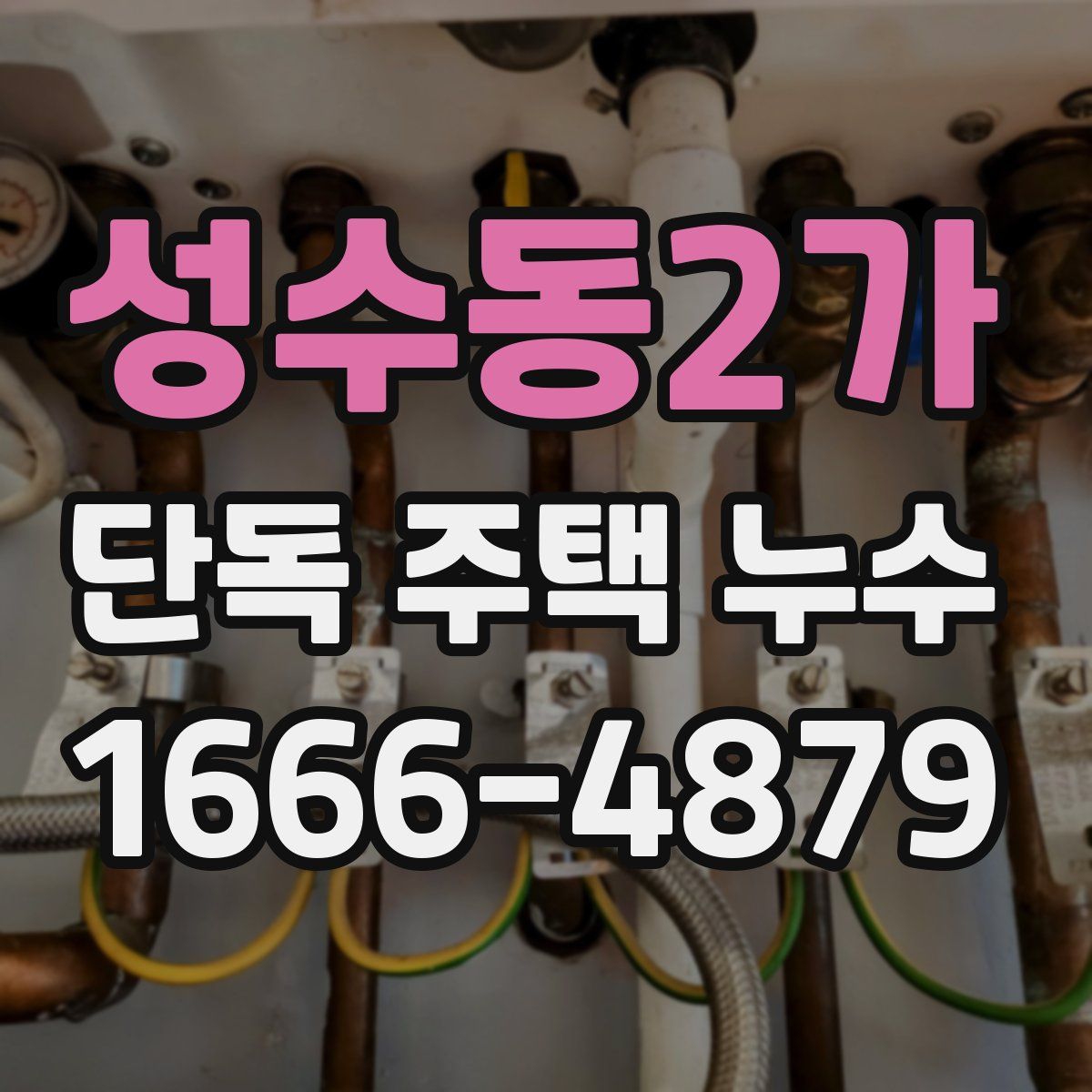 성수동2가 단독 주택 누수