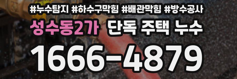 성수동2가 단독 주택 누수