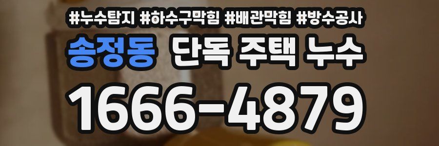 송정동 단독 주택 누수