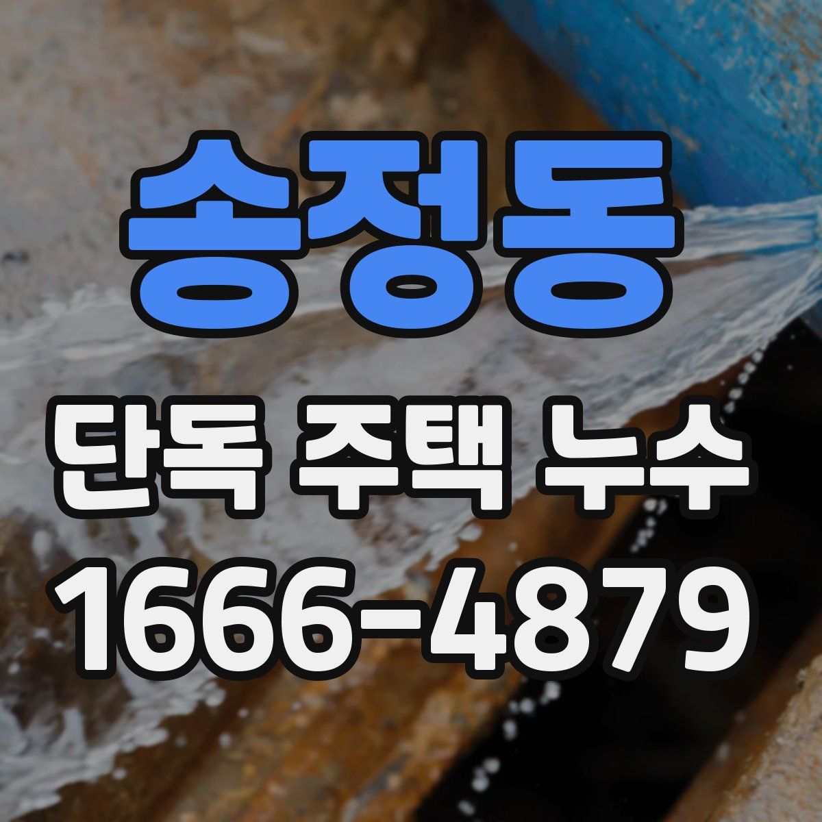 송정동 단독 주택 누수