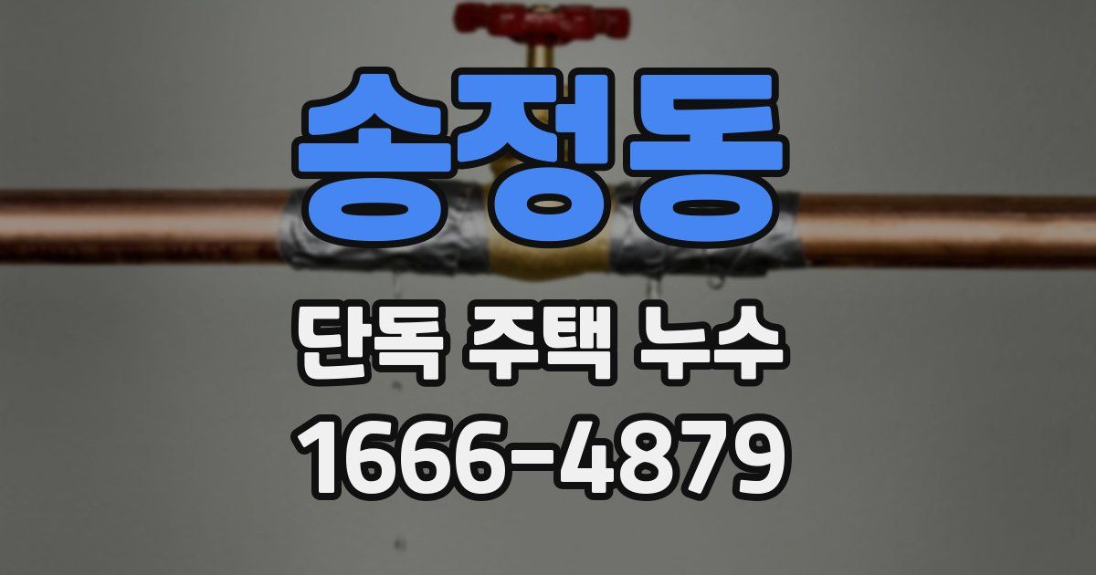 송정동 단독 주택 누수