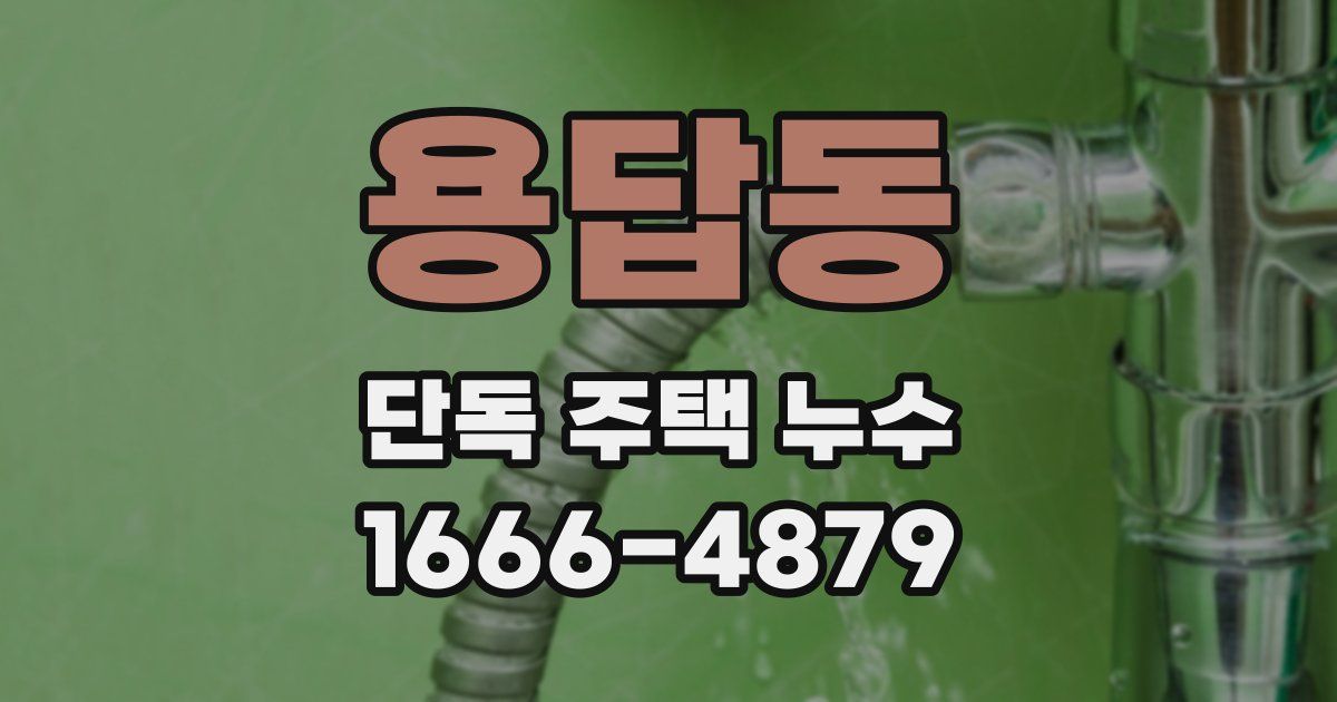 용답동 단독 주택 누수