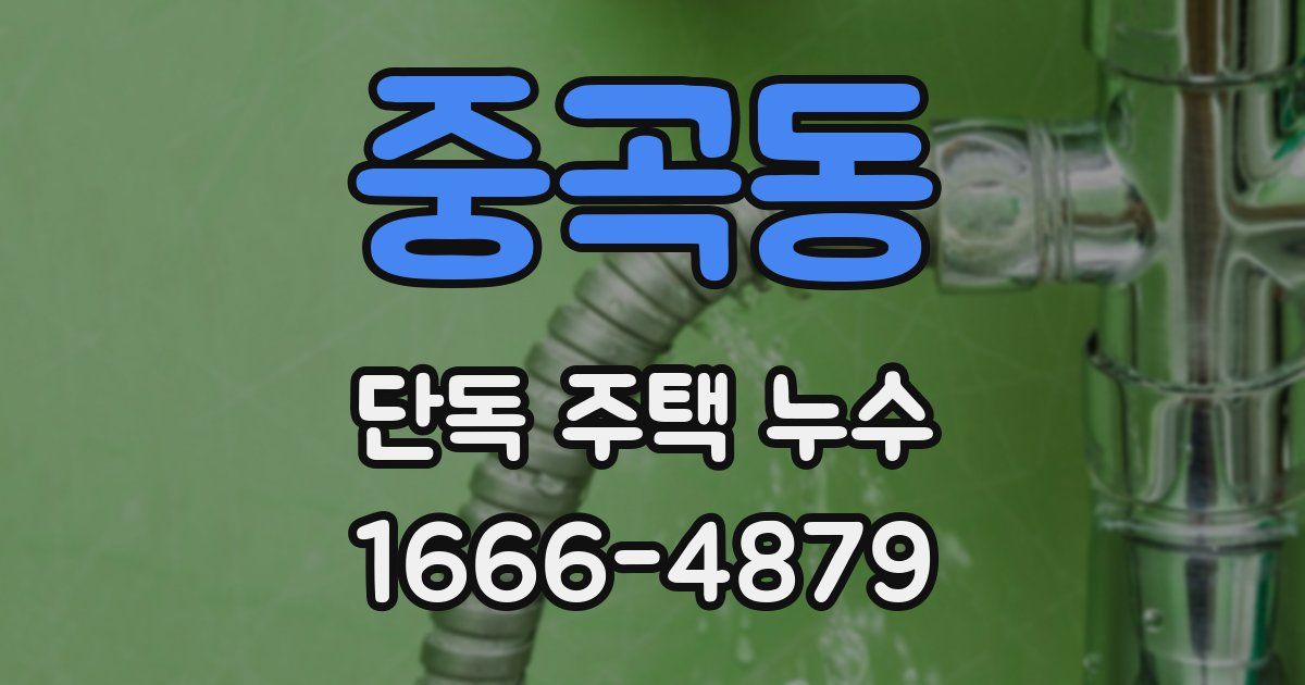 중곡동 단독 주택 누수