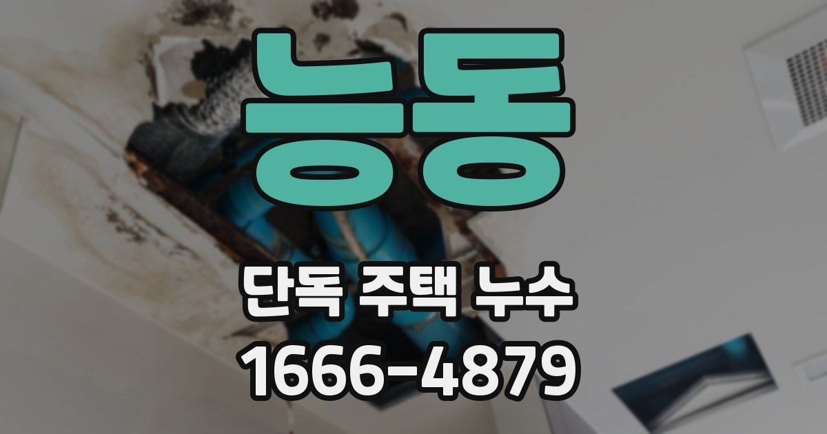 능동 단독 주택 누수