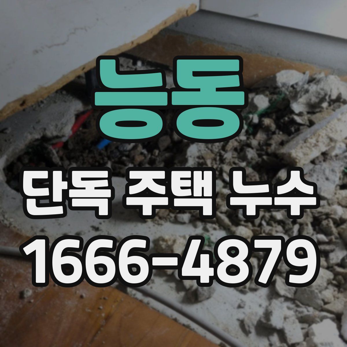 능동 단독 주택 누수