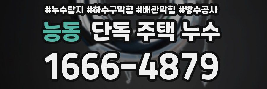 능동 단독 주택 누수
