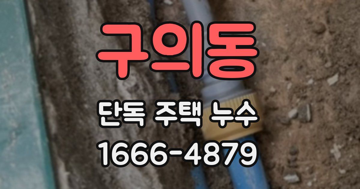 구의동 단독 주택 누수