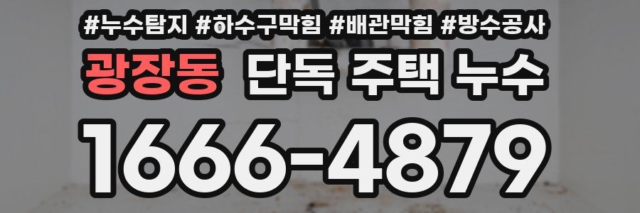 광장동 단독 주택 누수
