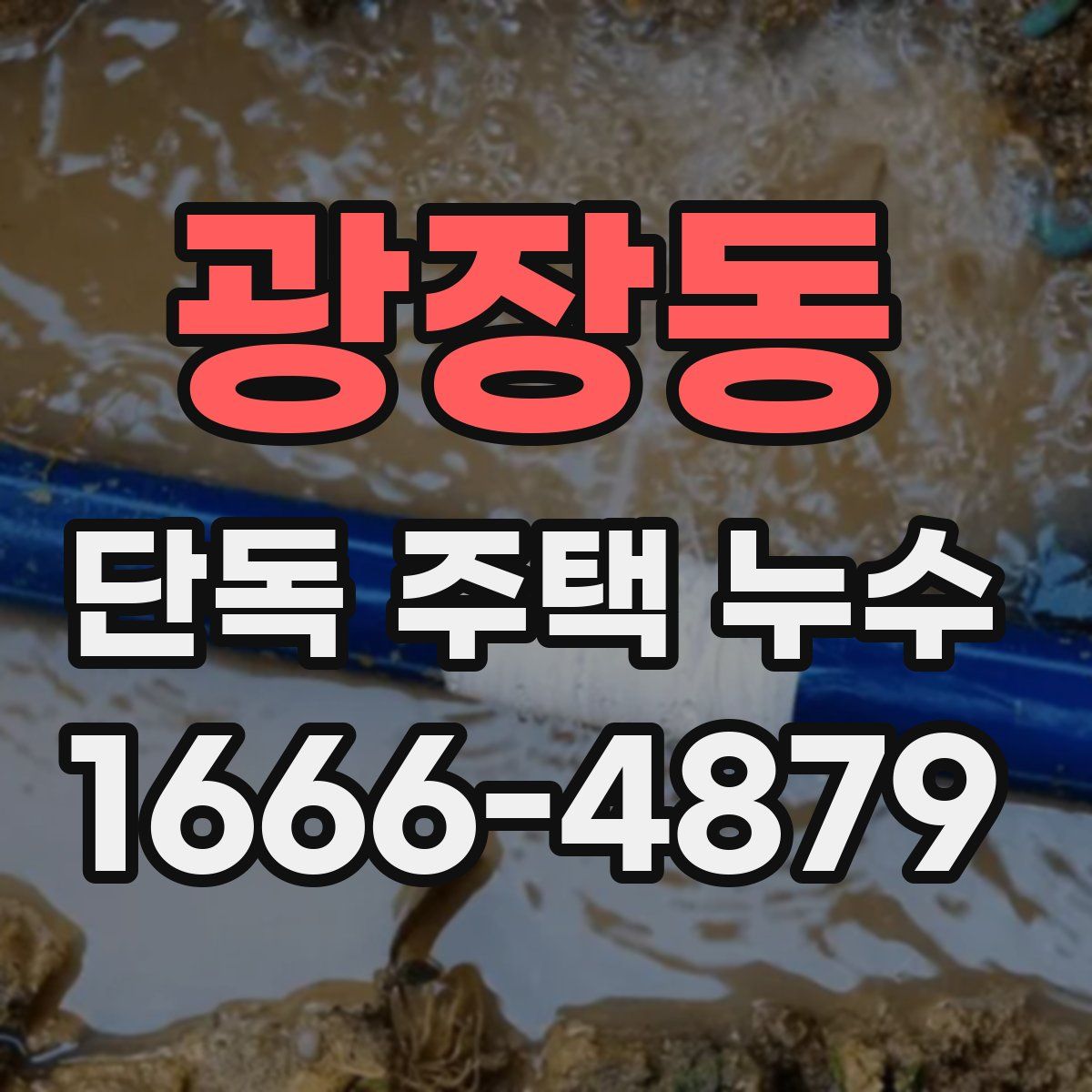 광장동 단독 주택 누수