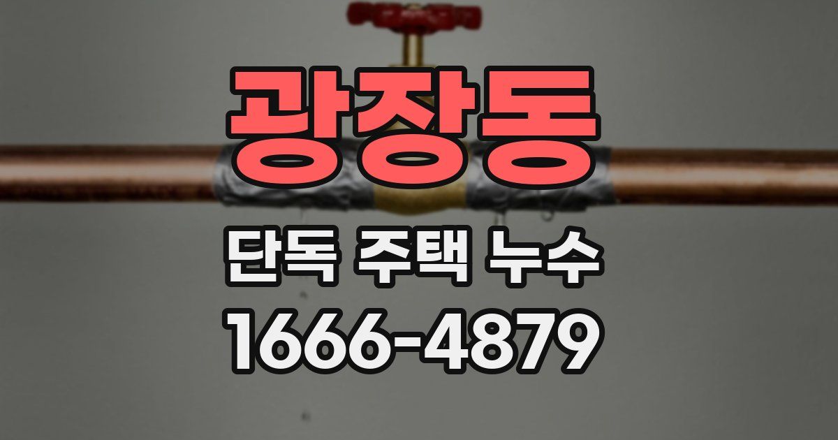 광장동 단독 주택 누수