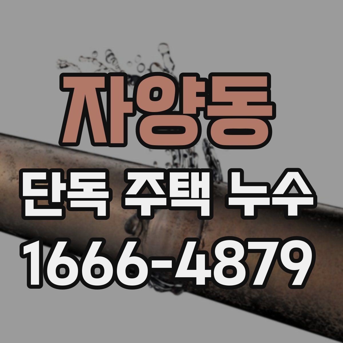 자양동 단독 주택 누수 진단이 필요한 상황
