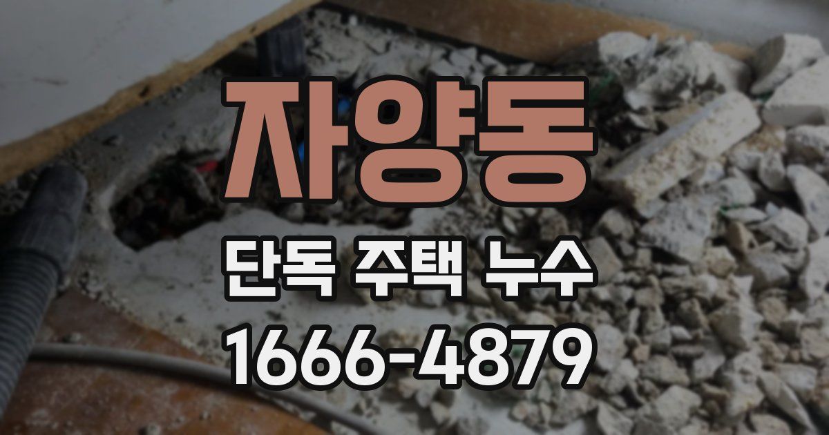 자양동 단독 주택 누수