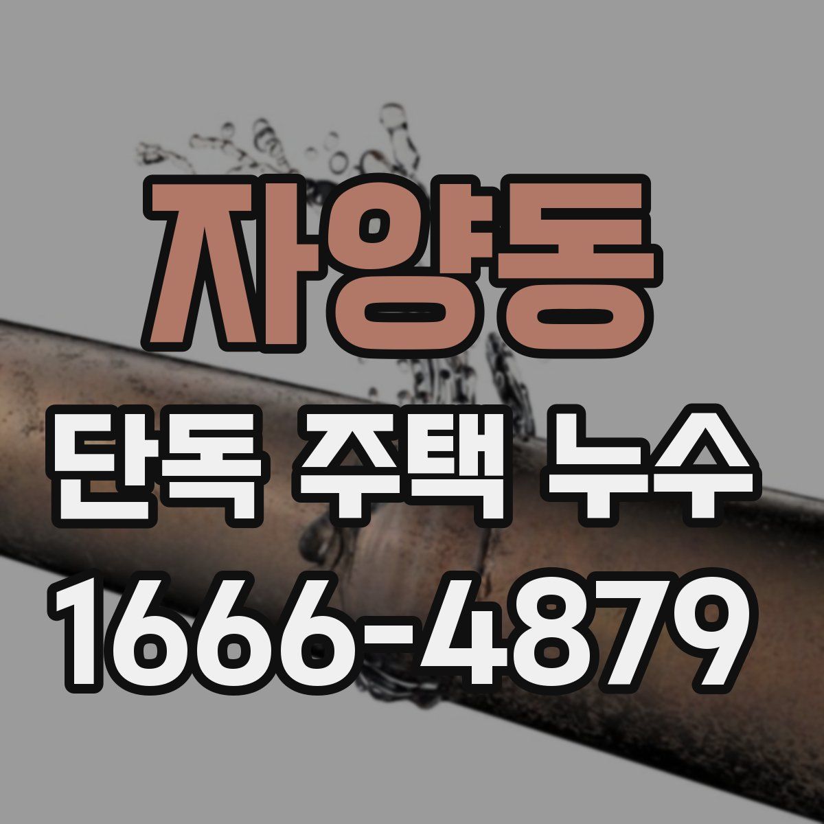 자양동 단독 주택 누수
