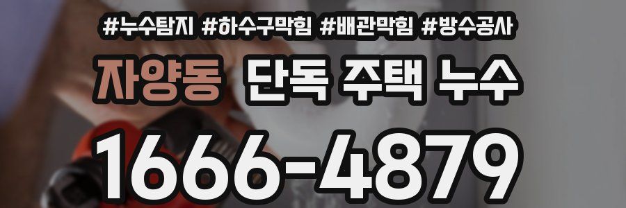 자양동 단독 주택 누수