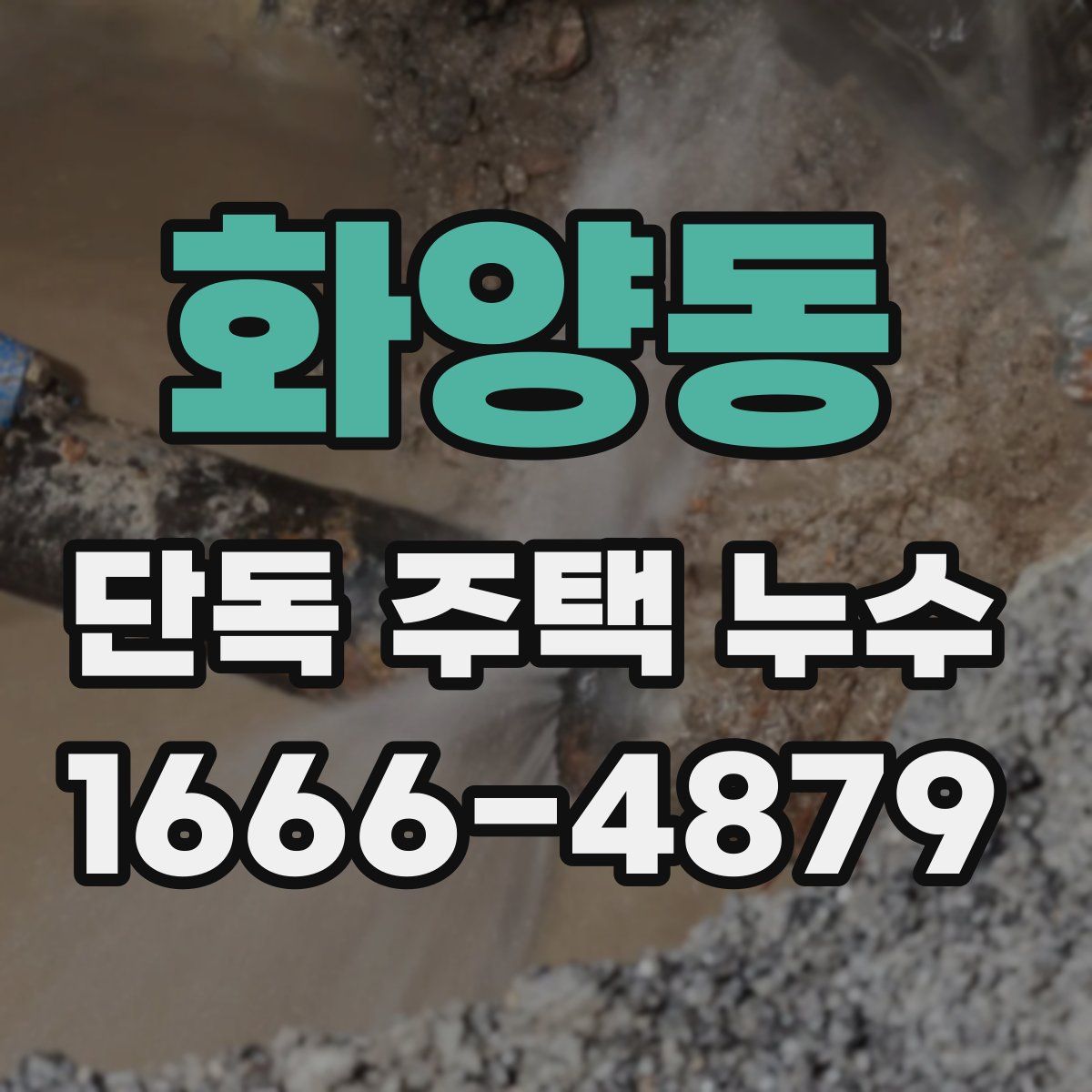 화양동 단독 주택 누수