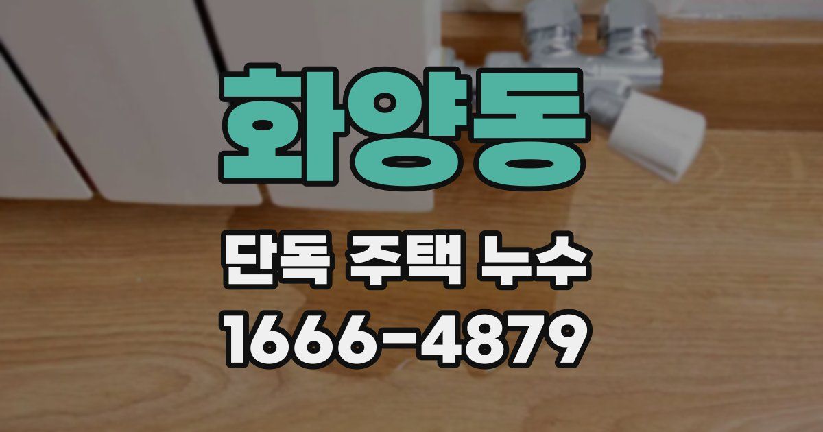 화양동 단독 주택 누수