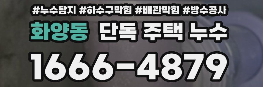 화양동 단독 주택 누수
