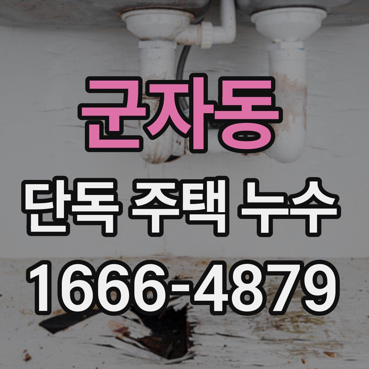 군자동 단독 주택 누수