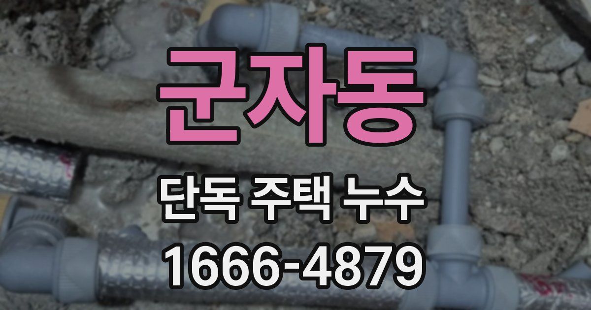 군자동 단독 주택 누수