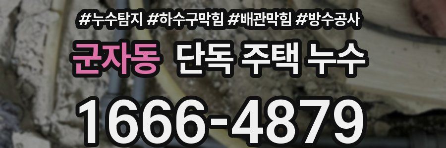 군자동 단독 주택 누수