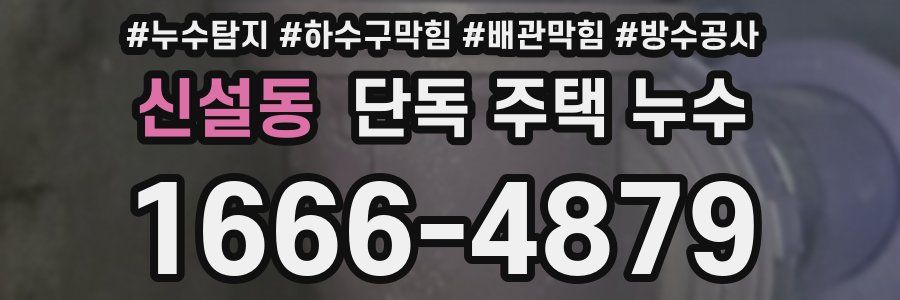 신설동 단독 주택 누수