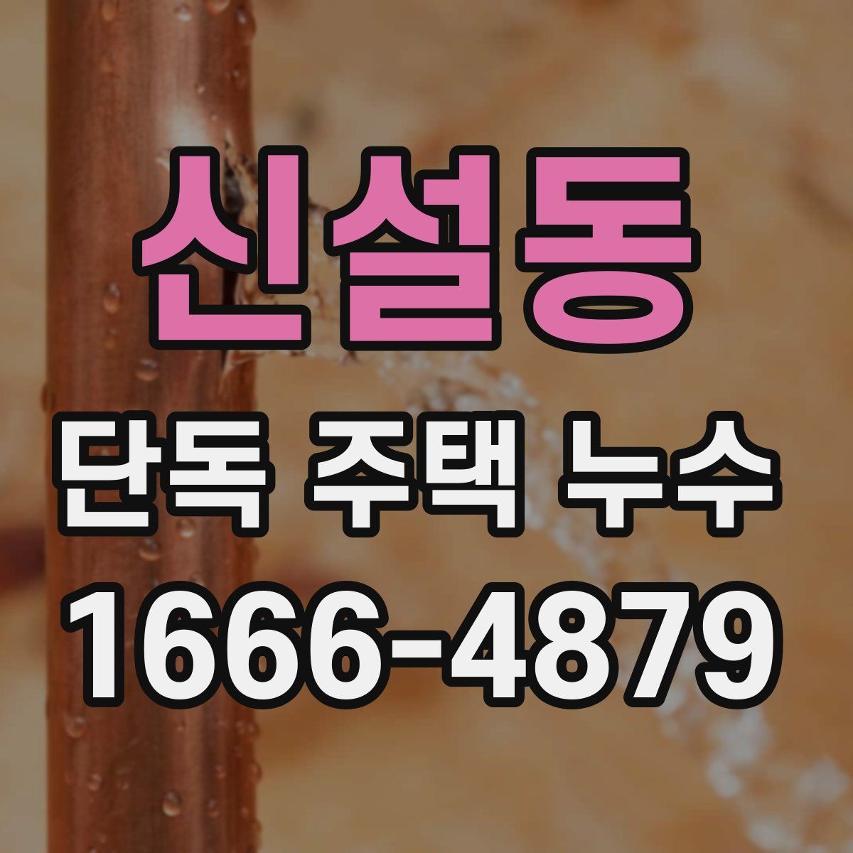신설동 단독 주택 누수