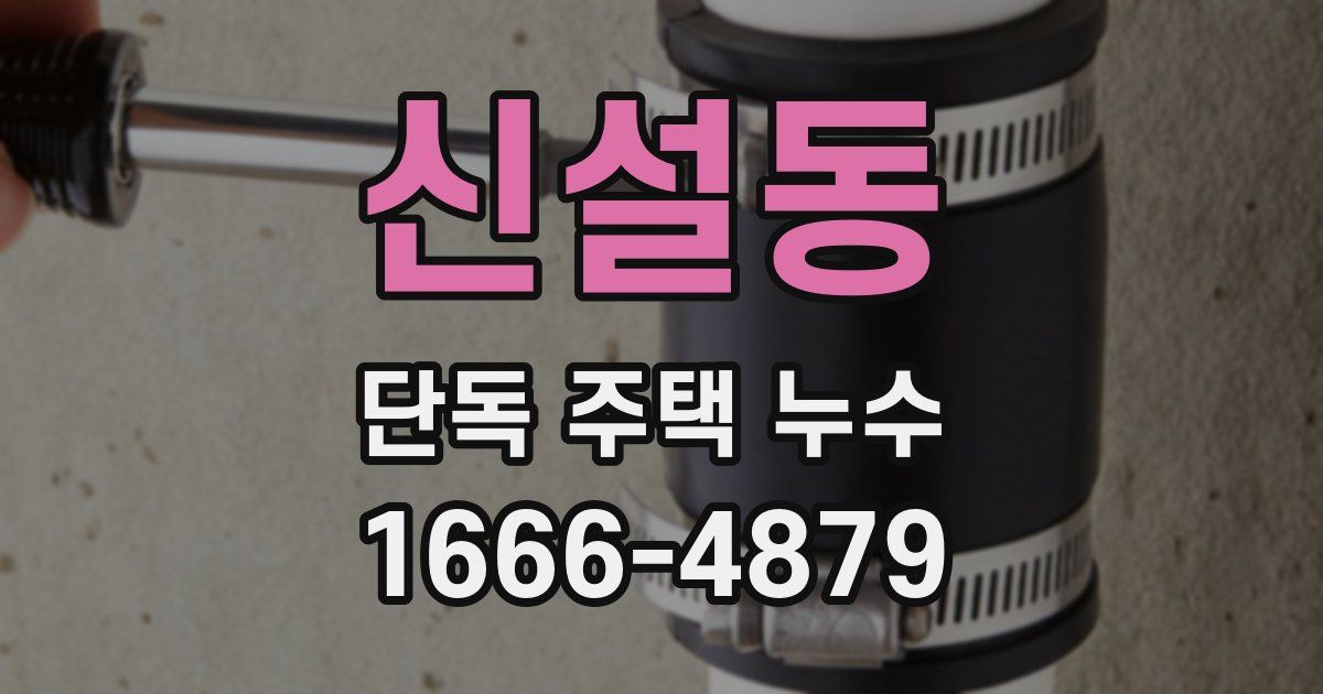 신설동 단독 주택 누수
