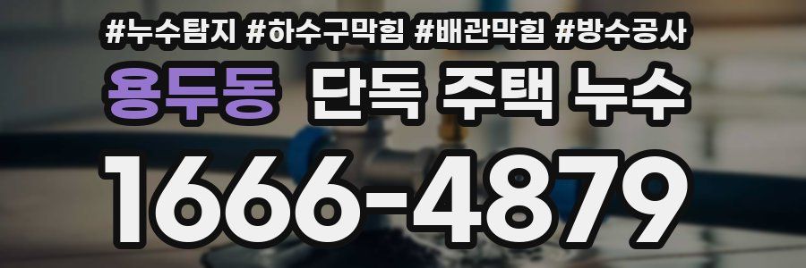 용두동 단독 주택 누수