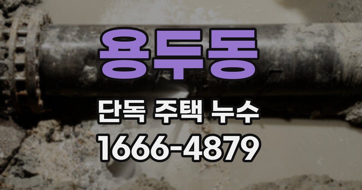 용두동 단독 주택 누수