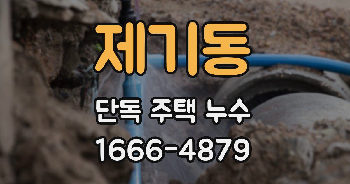 제기동 단독 주택 누수