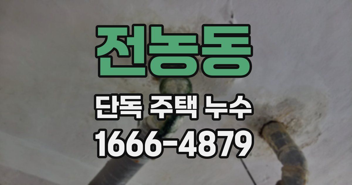 전농동 단독 주택 누수