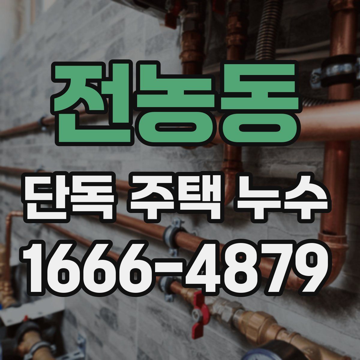 전농동 단독 주택 누수