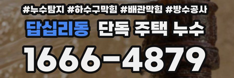 답십리동 단독 주택 누수