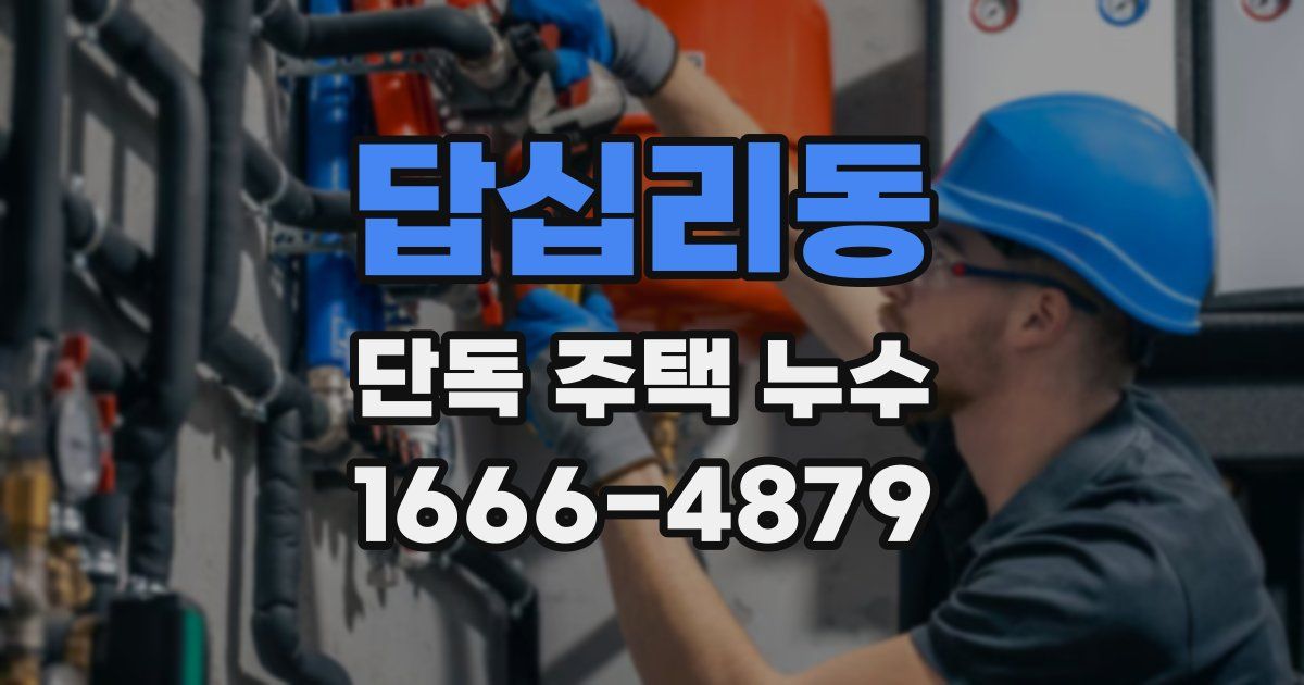 답십리동 단독 주택 누수